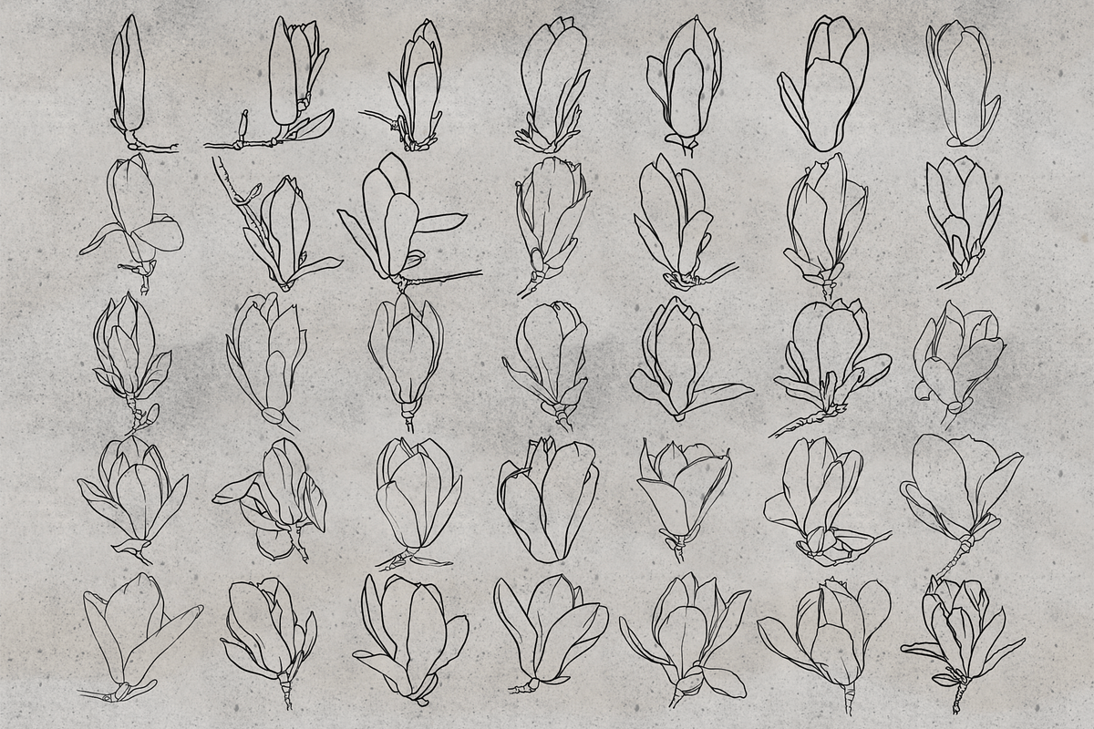 100 Magnolia Procreate Stamps, a Brush Add-On by TheWhiteCatLab (Photo 2 of 5)