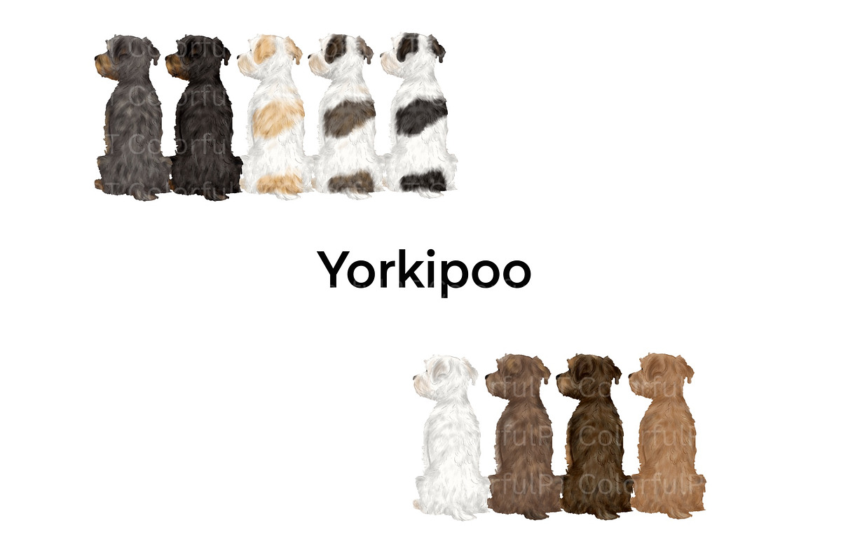 Dog Breeds Clipart, an Animal Illustration by ColorfulPT (Photo 2 of 8)