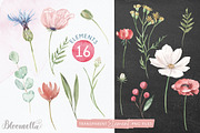 Wildflower Florals Poppies Flowers, an Object Graphic by Bloomella (Thumbnail 6 of 7)