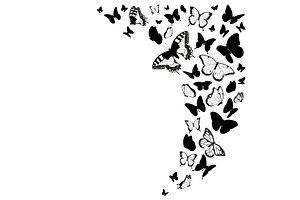 Black And White Butterflies Design