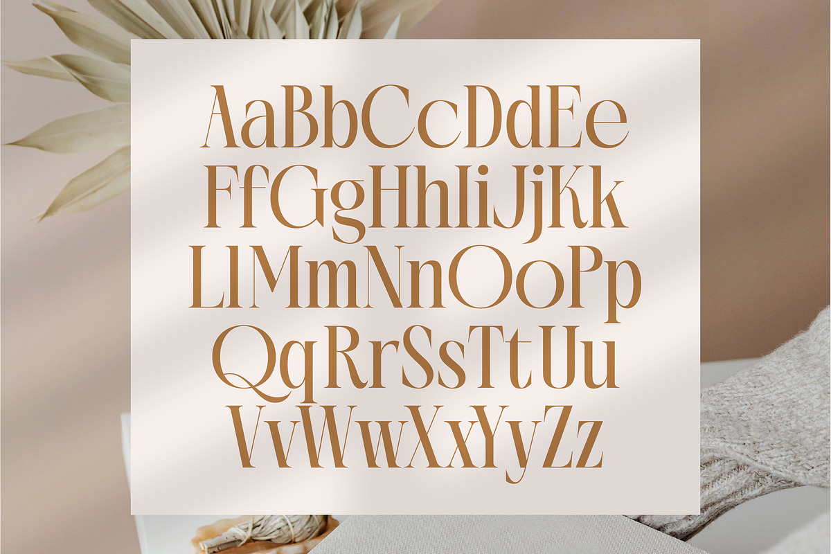 Rich Dashy Modern Elegant Serif, a Script Font by timelesstype.co (Photo 12 of 20)