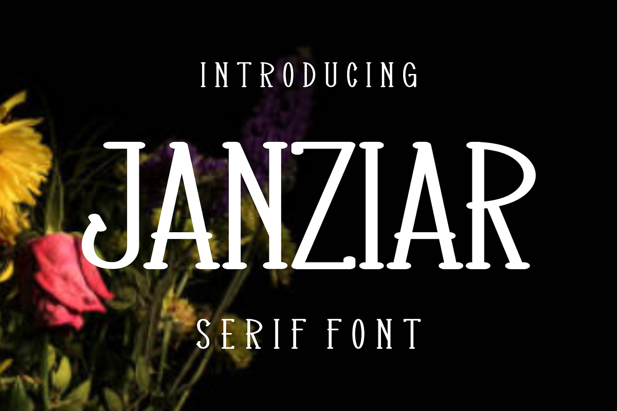 Janziar, a Serif Font by lelevien (Photo 3 of 5)