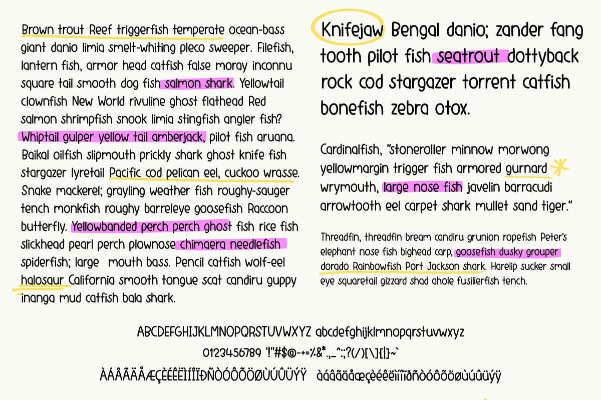 Rosie is Happy handwriting font, a Handwritten Font by jyllyco (Photo 6 of 6)