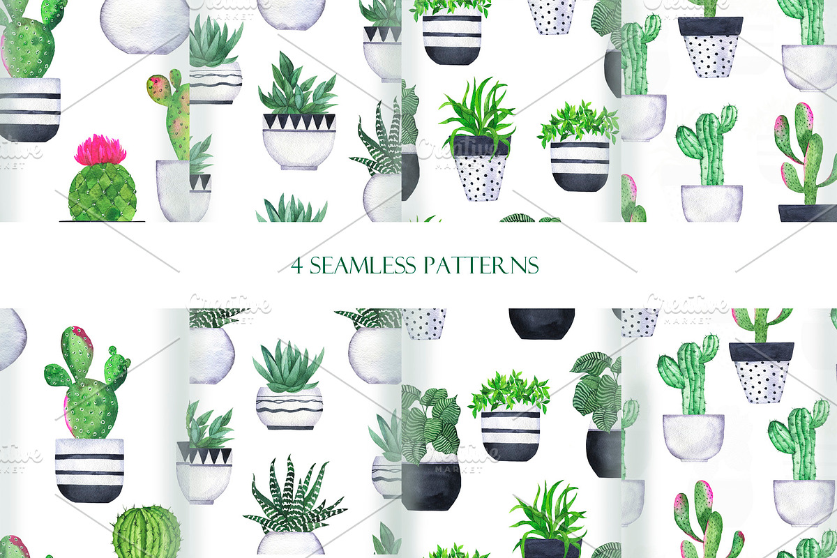 Cactus collection, an Illustration by Watercolor & sketches (Photo 5 of 7)