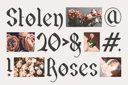Stolen Roses Font + BONUS FONT