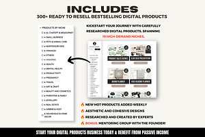 300 PLR Digital Products Bundle MRR