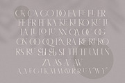 Karlotte - Elegant Serif Font, a Serif Font by Dora Typefoundry (Thumbnail 11 of 25)