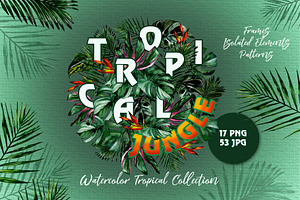 Tropical Jungle Watercolor Png