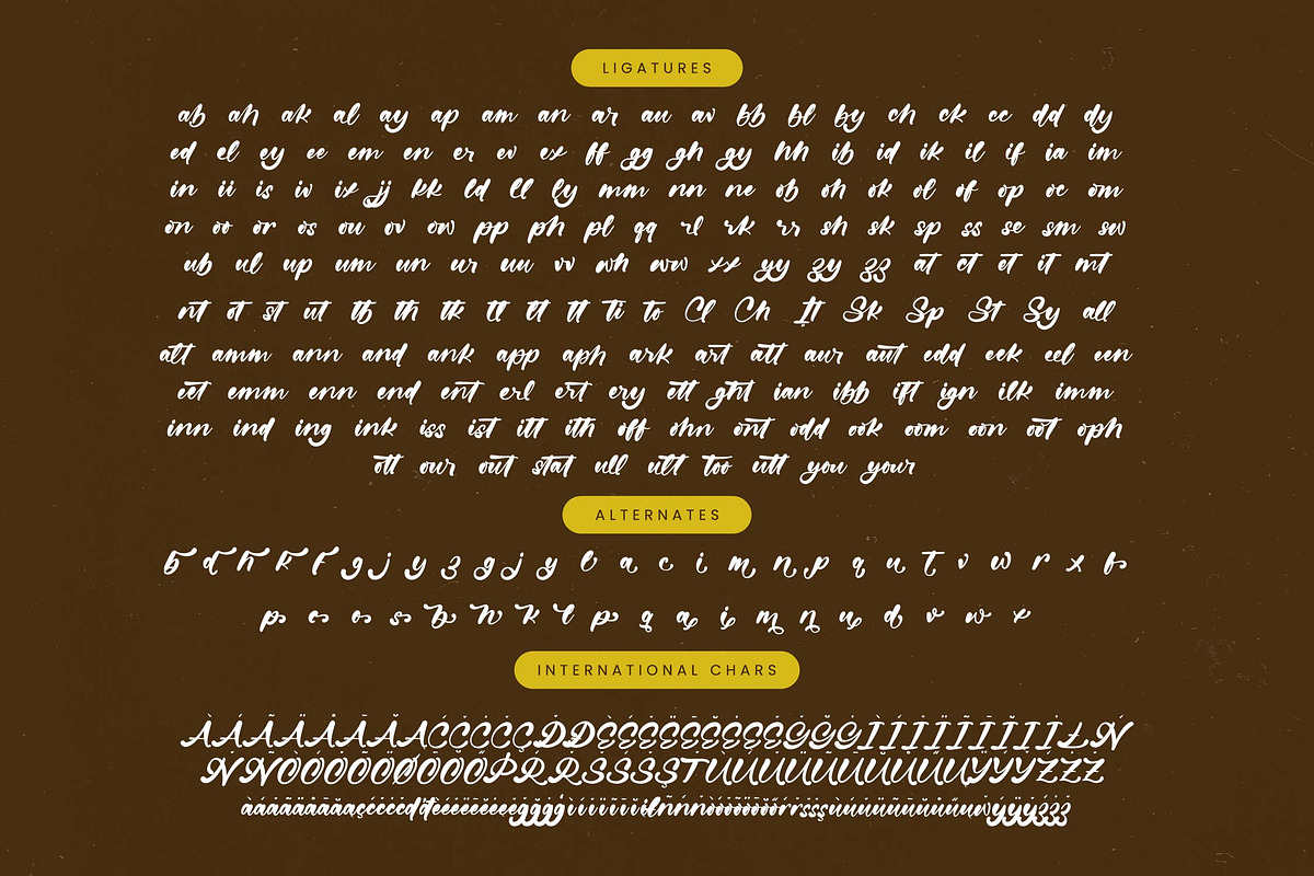 Gintery Dhump Bold Calligraphy Font, a Script Font by stylishtype.co (Photo 19 of 20)