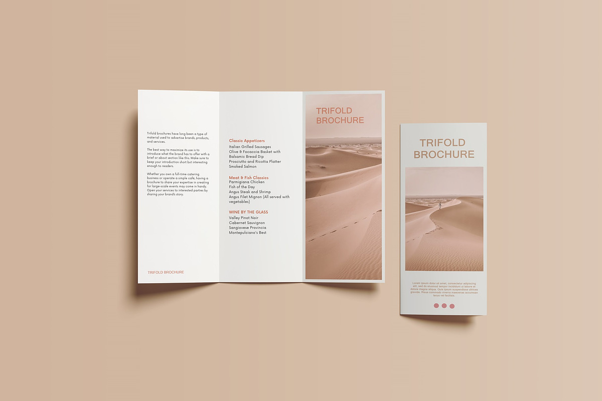 Trifold Brochure Mockup, a Books & Magazine Mockup by Lxadesign (Photo 14 of 18)