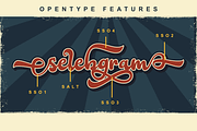 Holicya Retro Font, a Script Font by Dumadistyle (Thumbnail 7 of 12)