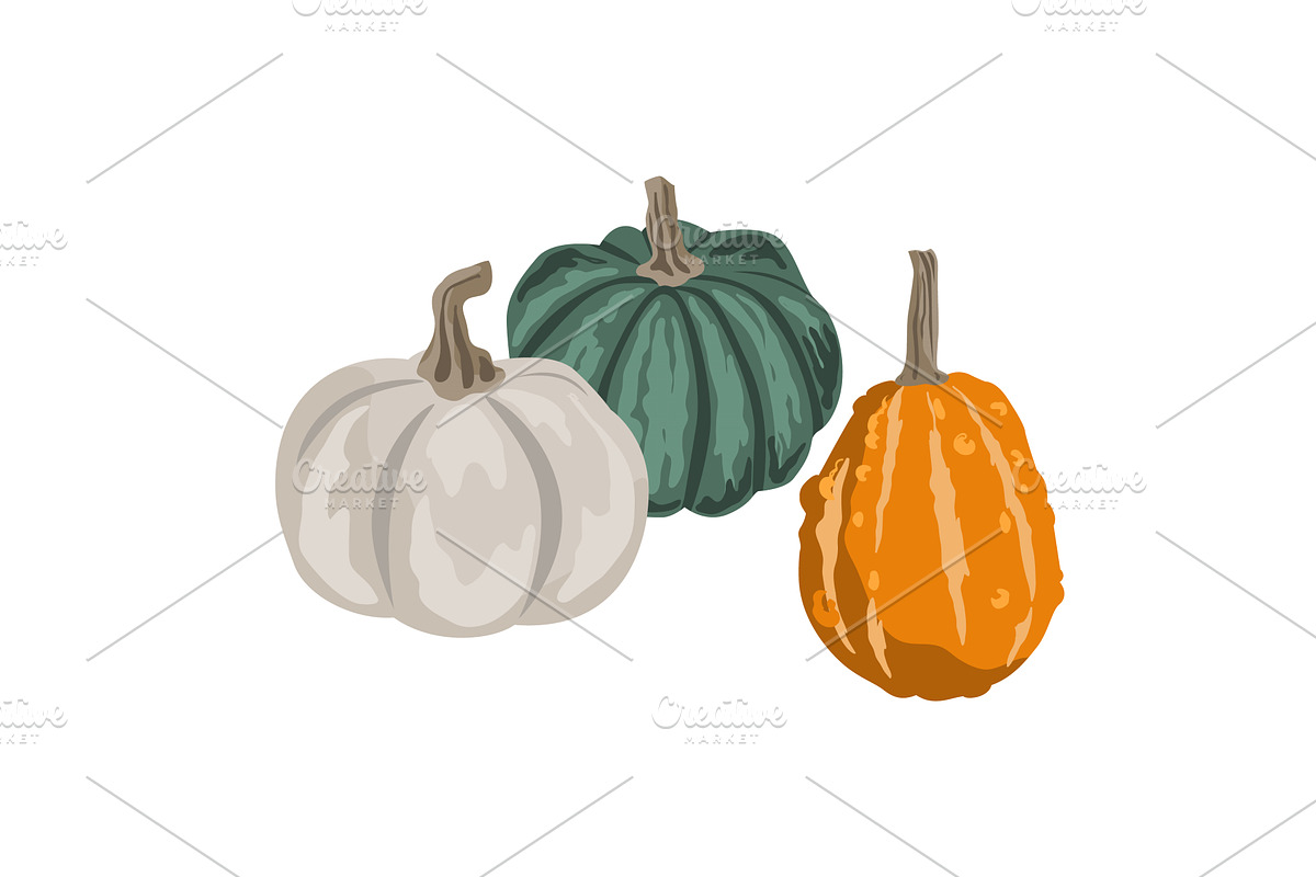 Pumpkins composition isolated on, an Object Illustration by Toltemara