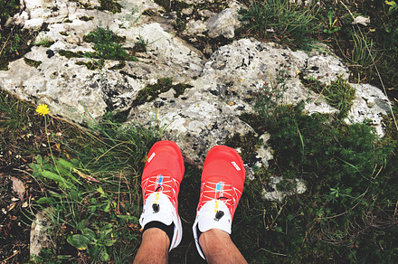 Running Shoes In The Forest Stock Photo Containing Run And Running preview 6
