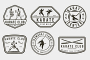 Karate Logo, Emblems, Icons, logos, a Branding & Logo Template by Billah Hub (Thumbnail 1 of 6)