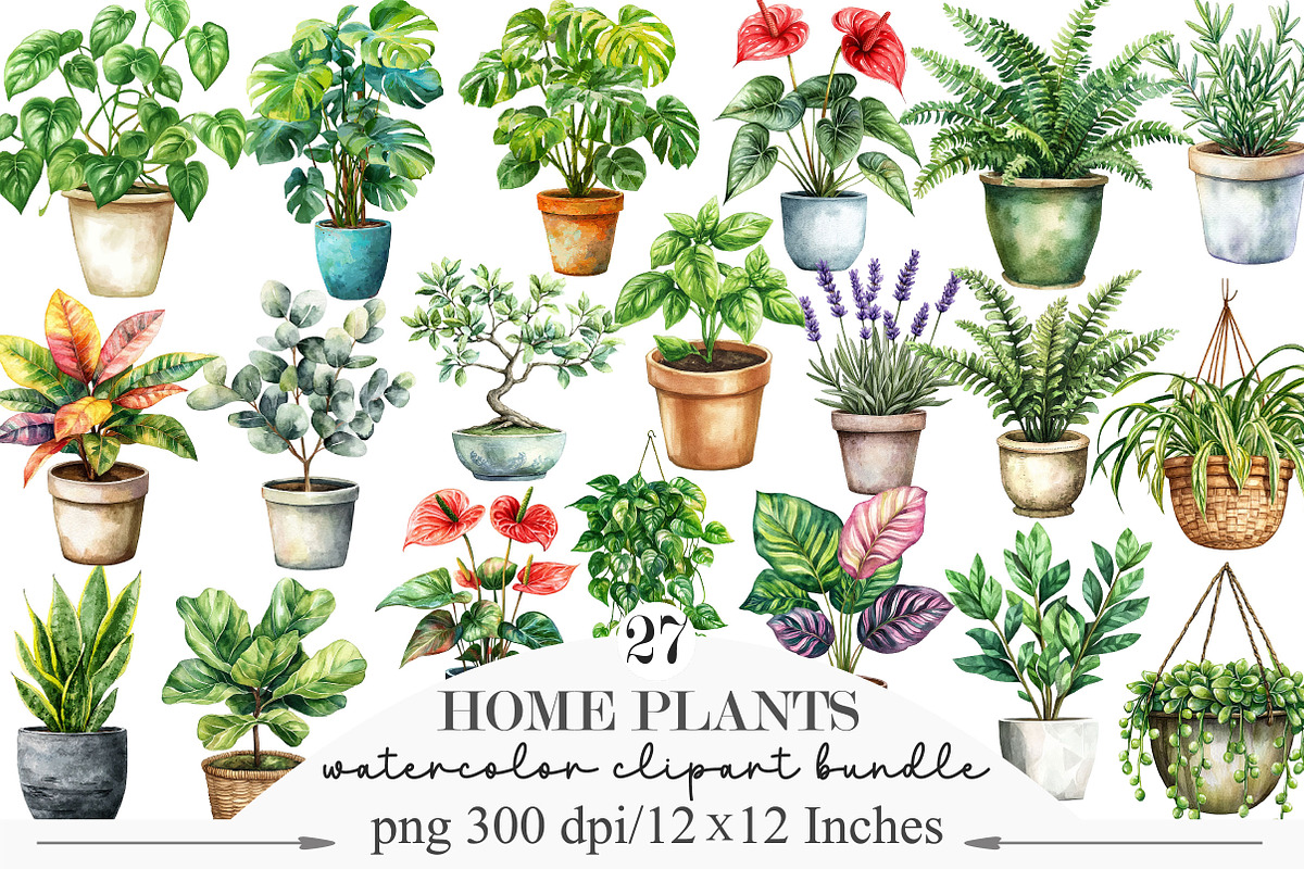 Watercolor Home Plants Clipart, an Illustration by Designking (Photo 1 of 5)