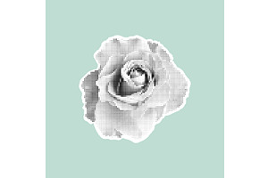 Stylized halftone rose in black and, an Object Illustration by Liudmyla Matviiets