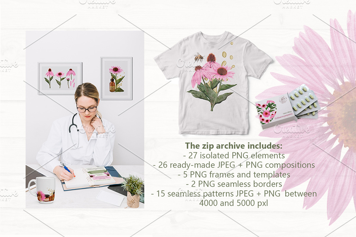 Echinacea watercolor clip art, an Illustration by ARTerria (Photo 6 of 9)