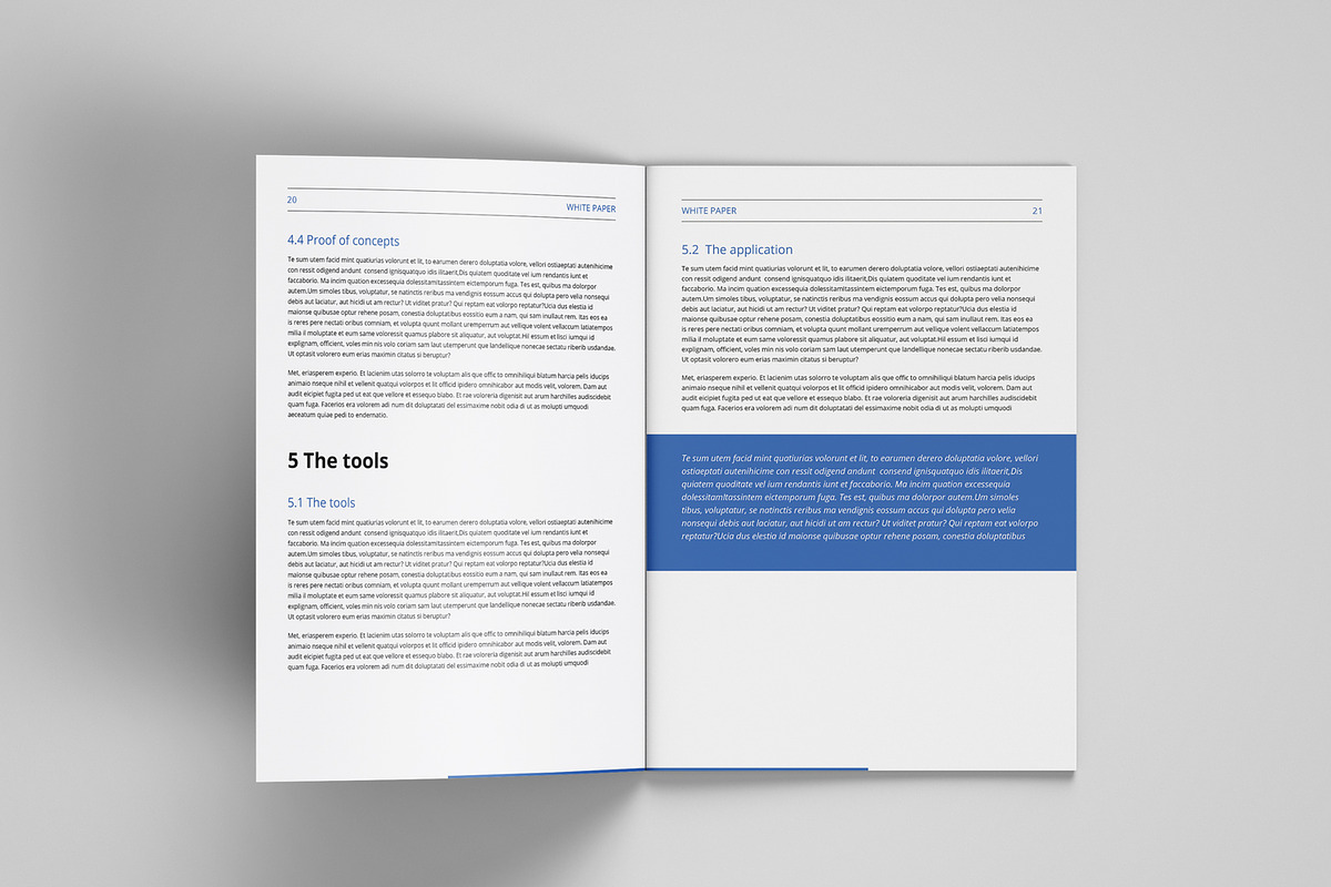 White paper template indesign, a Brochure Template by azadcsstune (Photo 12 of 18)
