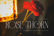Orlevin | New Modern Serif, a Serif Font by gracetype_studio (Thumbnail 2 of 12)