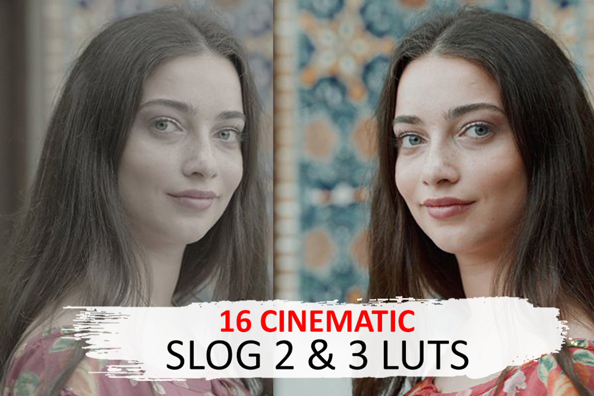 Cinematic Luts (Slog2 & Slog3), a Layer Style Add-On by GeorgeKhelashvili (Photo 1 of 10)