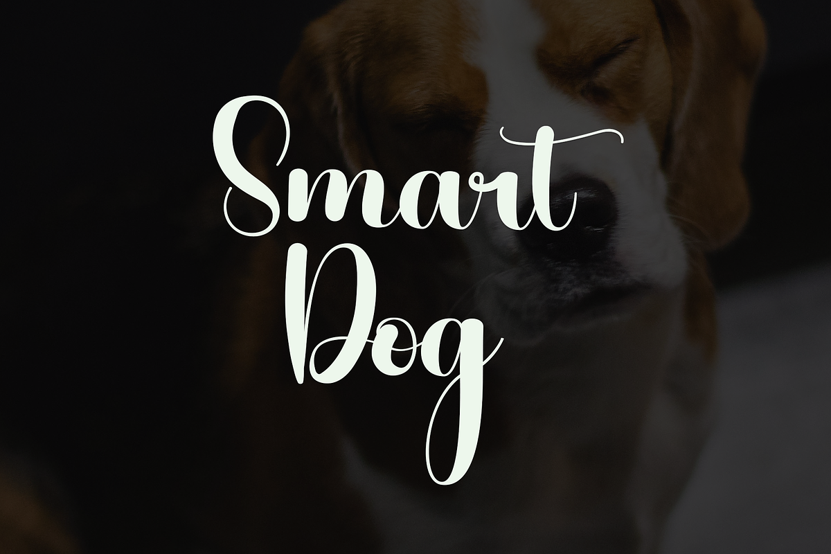 Beagle, a Font by InermediaSTUDIO (Photo 3 of 8)
