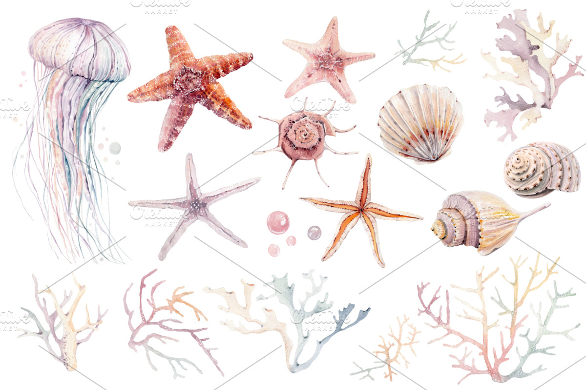 SUPER STARS watercolor set, an Illustration by Lemaris (Photo 2 of 9)