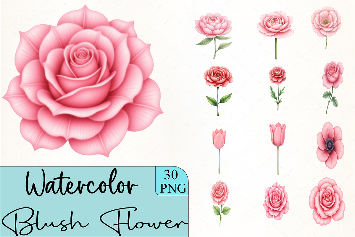 Blush Flower Clipart, an Illustration by CrexoraLab (Photo 1 of 5)