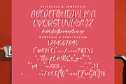 Flesmingo, a Handwritten Font by Integritype Studio (Thumbnail 13 of 15)