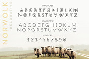 Norwolk - Thin Line Decorative Font, a Symbol Font by Struvictory.art (Thumbnail 3 of 9)