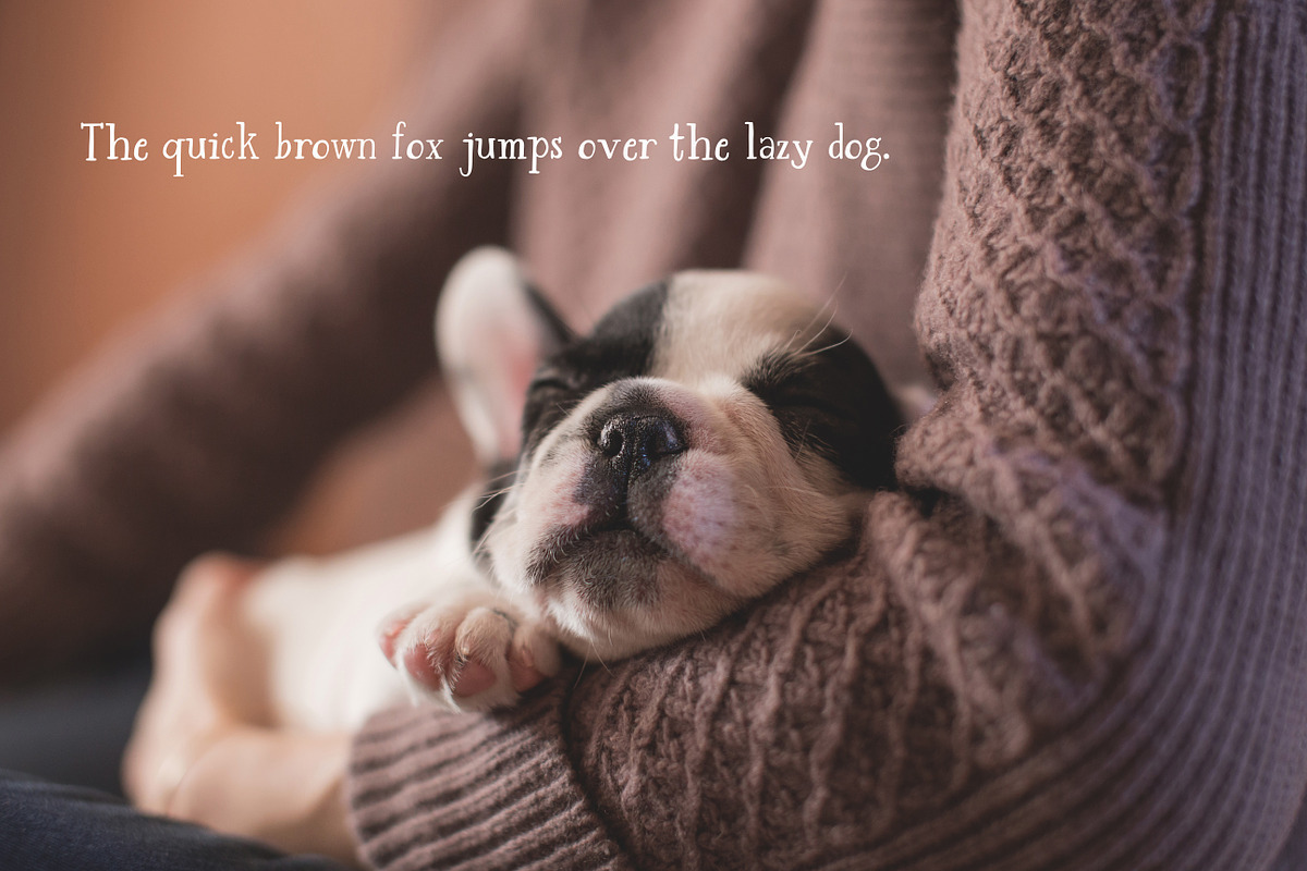 Sweet Basil preview 5