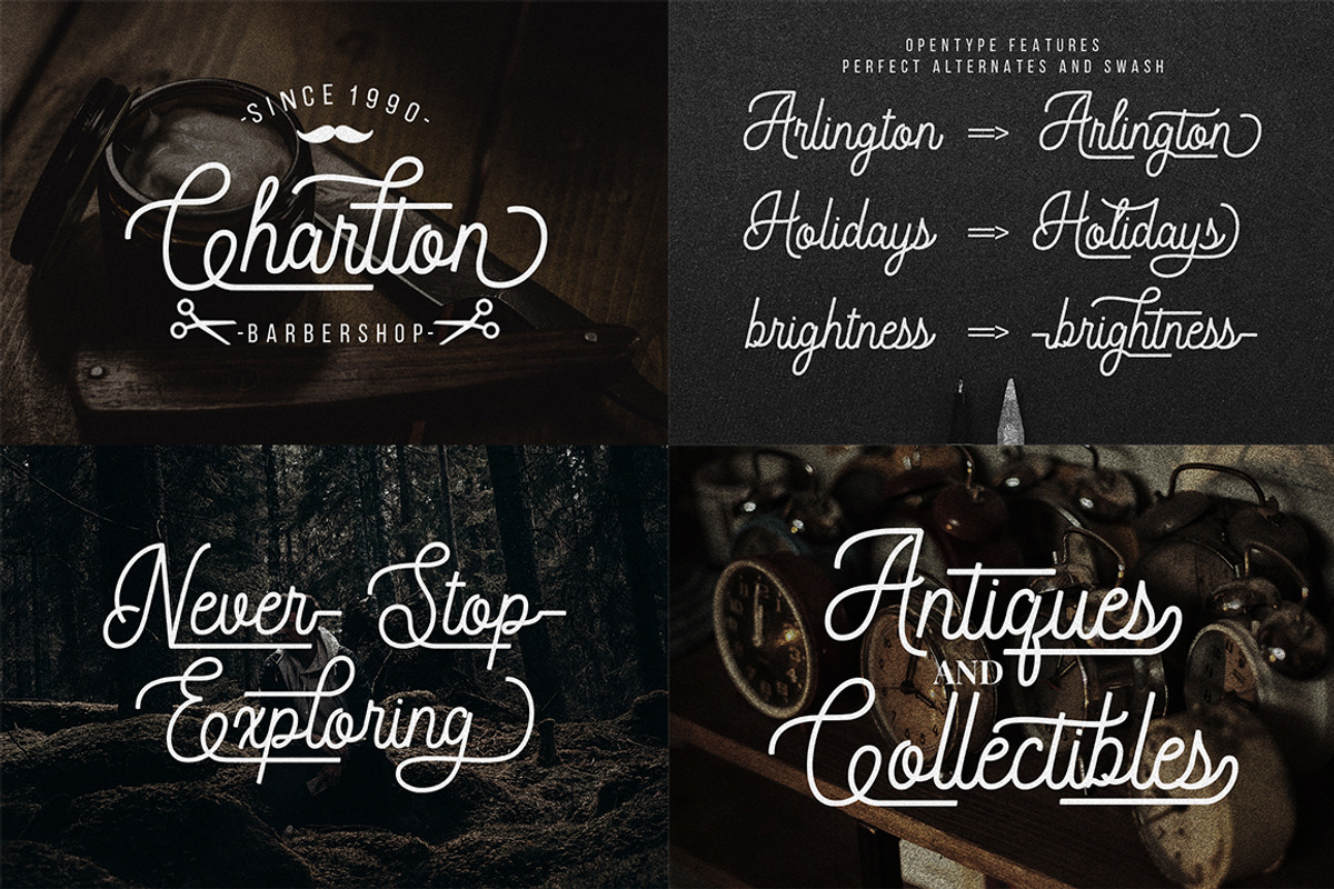 The Premium Creation Font Bundle, a Serif Font by Megatype (Photo 16 of 56)