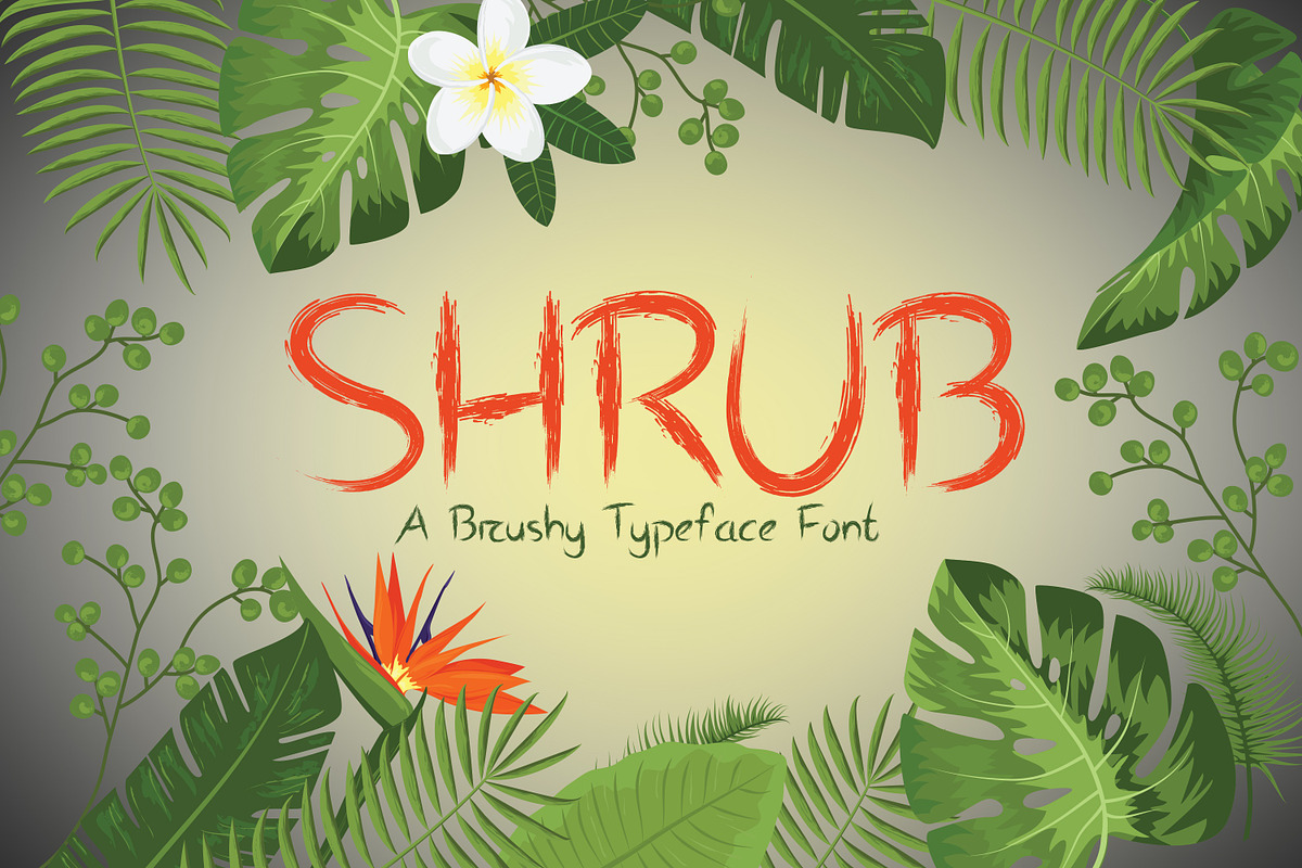 Shrub Brushy Font