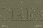 Archer Display - Ligature Serif Font, a Serif Font by SilverStag Type Foundry (Thumbnail 19 of 29)