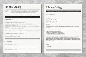 Professional MS Word CV