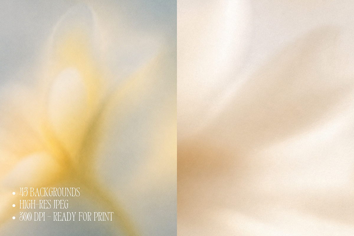 Dreamy Blurry Flower Backgrounds, a Background Graphic by Refancy (Photo 7 of 12)
