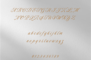 Galis Wedding Calligraphy Font, a Script Font by Creative Foundry (Thumbnail 6 of 8)