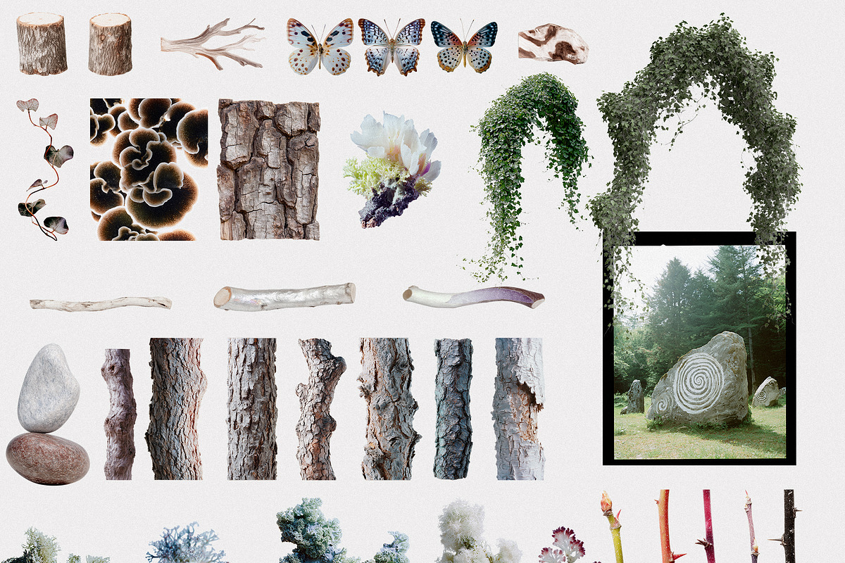 Hollow: Mystical Forest Collage Pack, an Object Graphic by Purple (Photo 6 of 13)