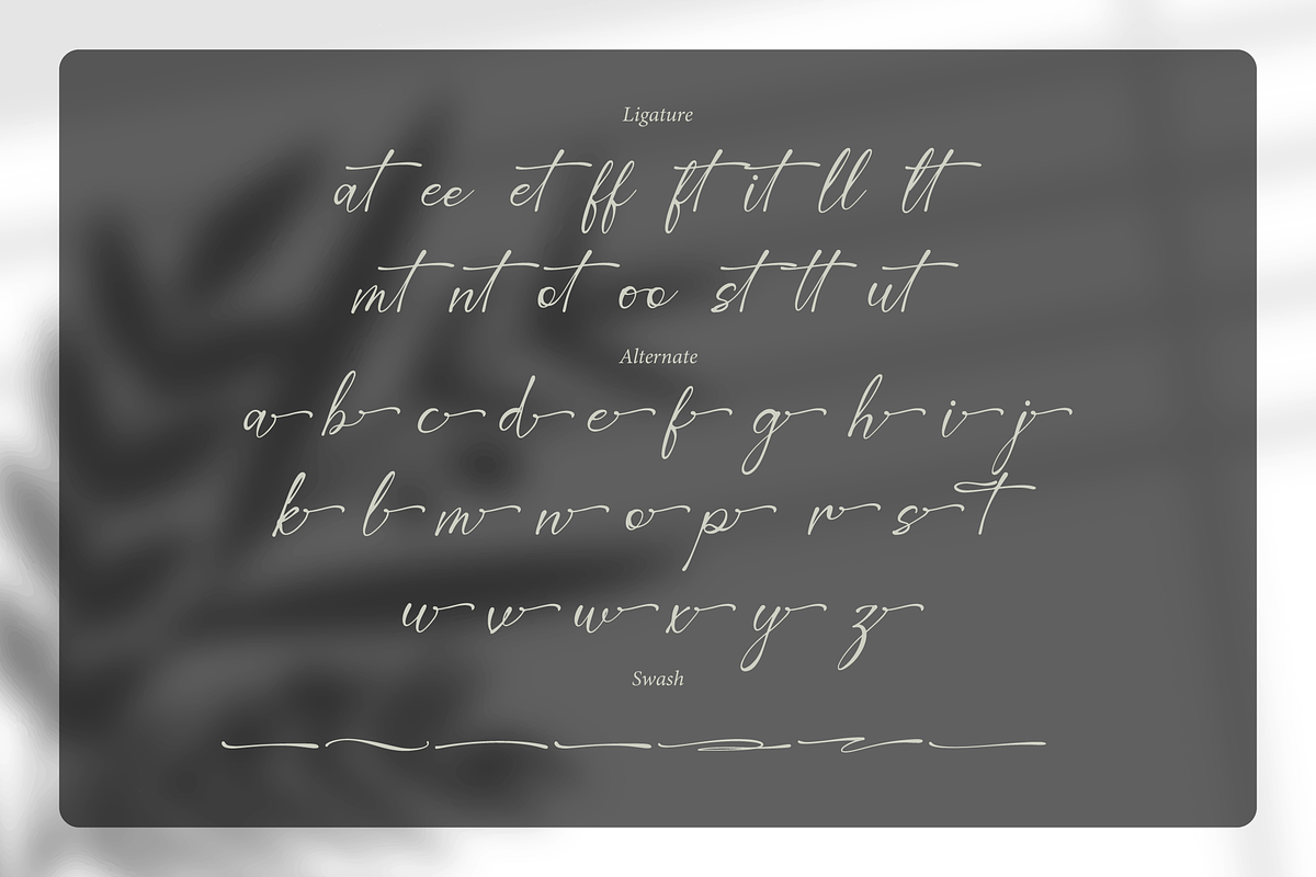 Corlenois Signature | Signature Font, a Script Font by gracetype_studio (Photo 15 of 15)