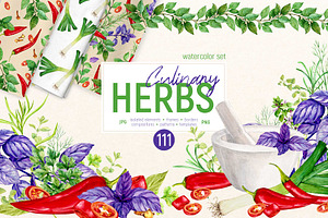 Culinary Herbs. Watercolor Set