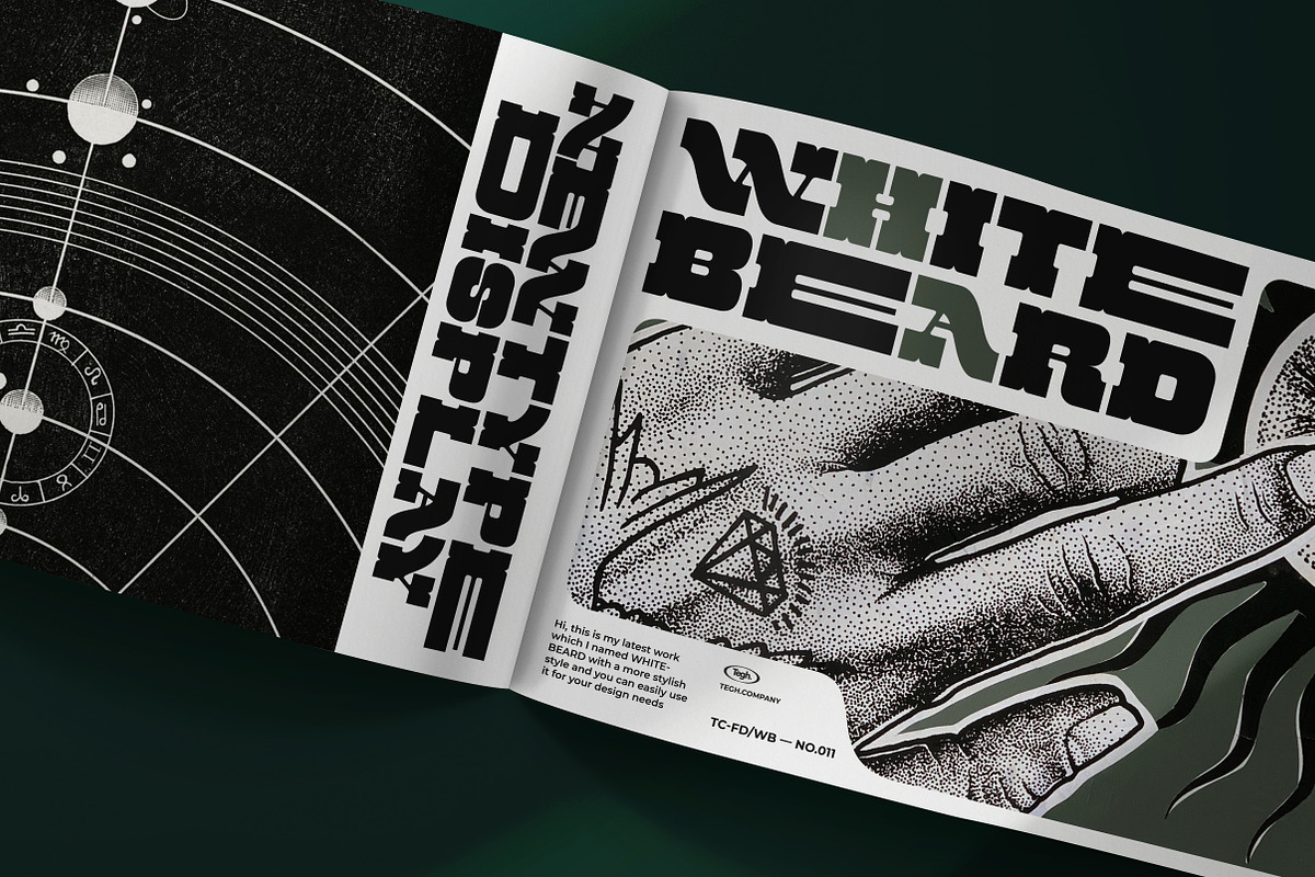 WHITEBEARD DISPLAY, a Font by Tegh co. (Photo 2 of 12)