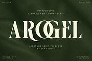 Luxury Ligature Serif Font - Arogel, a Serif Font by Say Studio (Thumbnail 1 of 10)