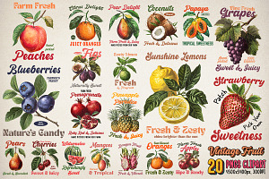 Vintage Fruits Sublimation Bundle, an Object Graphic by GlitterCraft
