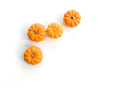 Mini Fall Pumpkins Styled Stock, a Holiday Photo by The Swimming Owl