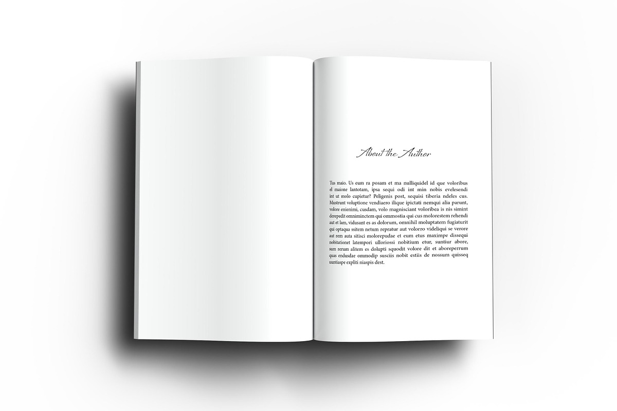 6 x 9 Adobe Indesign Book Template, a Templates & Theme by Ms Tonia Designs (Photo 9 of 9)