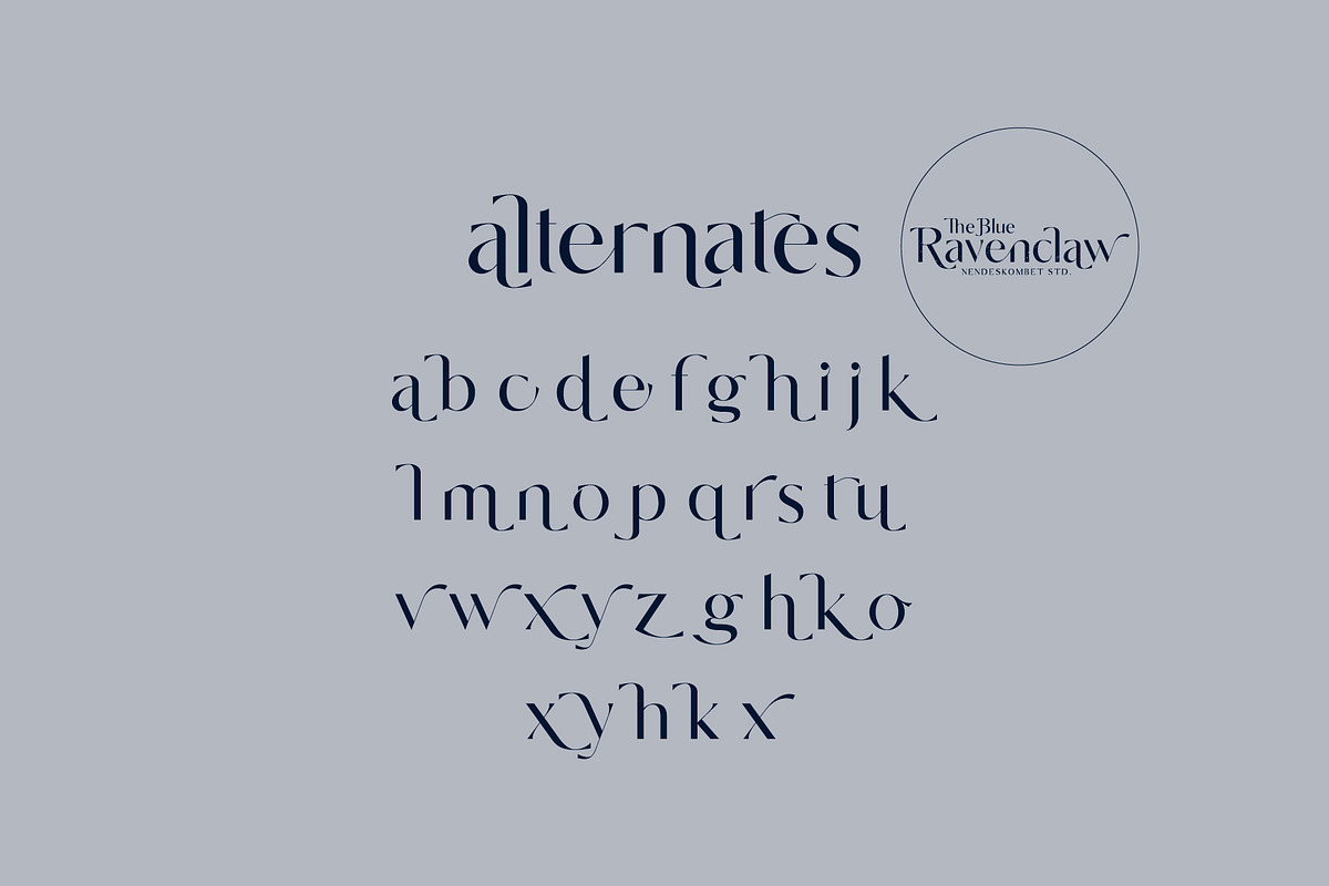 The Blue Ravenclaw - Stylistic Sans, a Sans Serif Font by NendesKombet Studio (Photo 16 of 16)