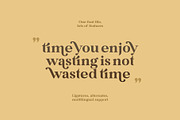 Rolfter - Classic Serif, a Serif Font by AlienValley (Thumbnail 6 of 9)