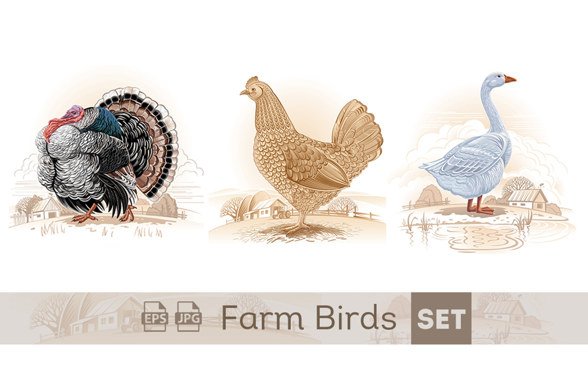 Farm birds set, an Animal Illustration by Countryside life (Photo 1 of 12)