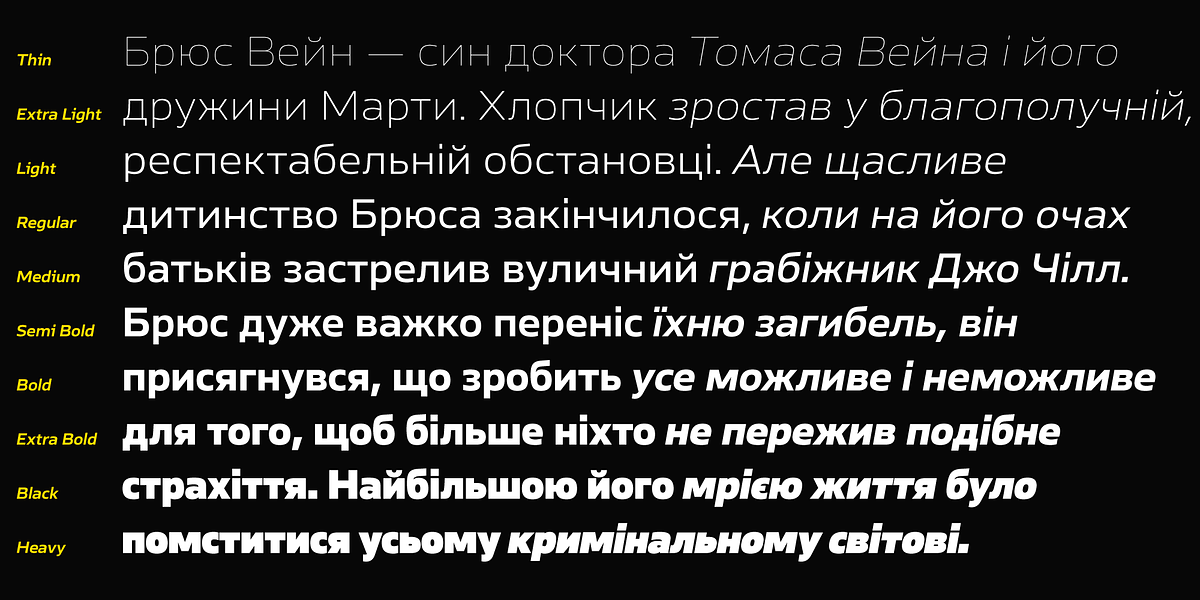 Ambulatoria B, a Sans Serif Font by Pepper Type (Photo 14 of 15)