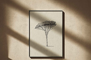 Vintage Tree Vector Bundle Vol. 2, an Object Illustration by Seaquint (Thumbnail 3 of 5)