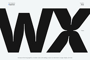 TBJ Endgraph 2 Styles, a Sans Serif Font by Taboja Studio (Thumbnail 5 of 21)